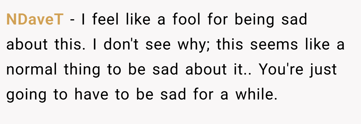 NDaveT − I feel like a fool for being sad about this. I don't see why; this seems like a normal thing to be sad about it.. You're just going to have to be sad for a while.