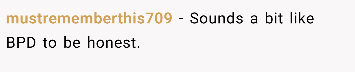 mustrememberthis709 − Sounds a bit like BPD to be honest.