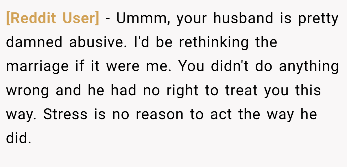 [Reddit User] − Ummm, your husband is pretty damned abusive. I'd be rethinking the marriage if it were me. You didn't do anything wrong and he had no right to treat you this way. Stress is no reason to act the way he did.