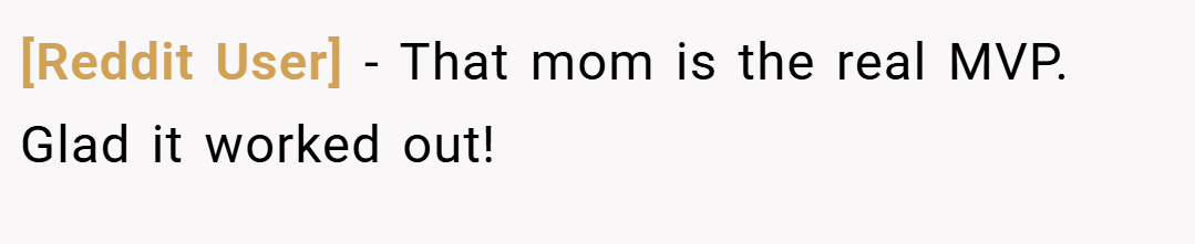 [Reddit User] − That mom is the real MVP. Glad it worked out!