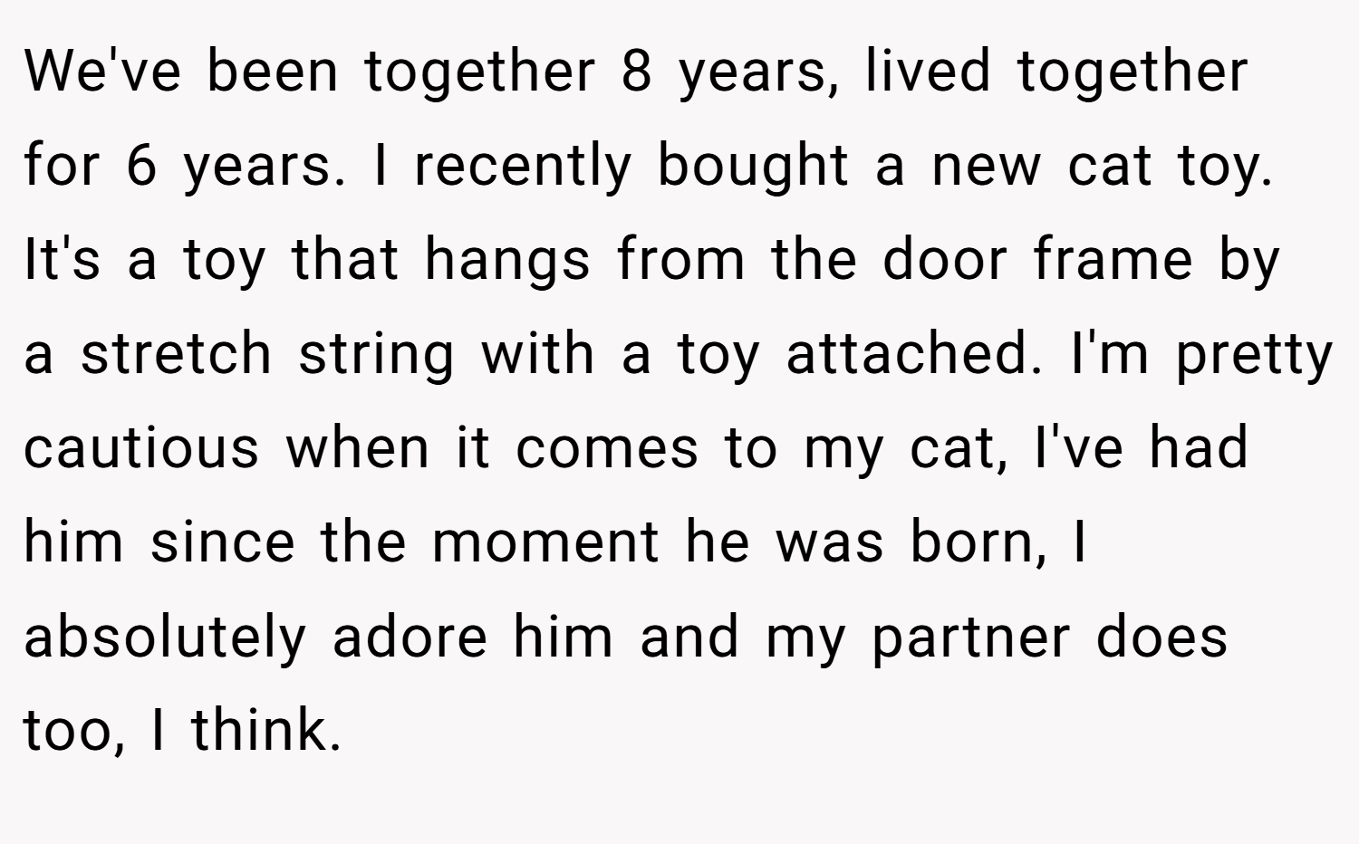 We've been together 8 years, lived together for 6 years. I recently bought a new cat toy. It's a toy that hangs from the door frame by a stretch string with a toy attached. I'm pretty cautious when it comes to my cat, I've had him since the moment he was born, I absolutely adore him and my partner does too, I think.