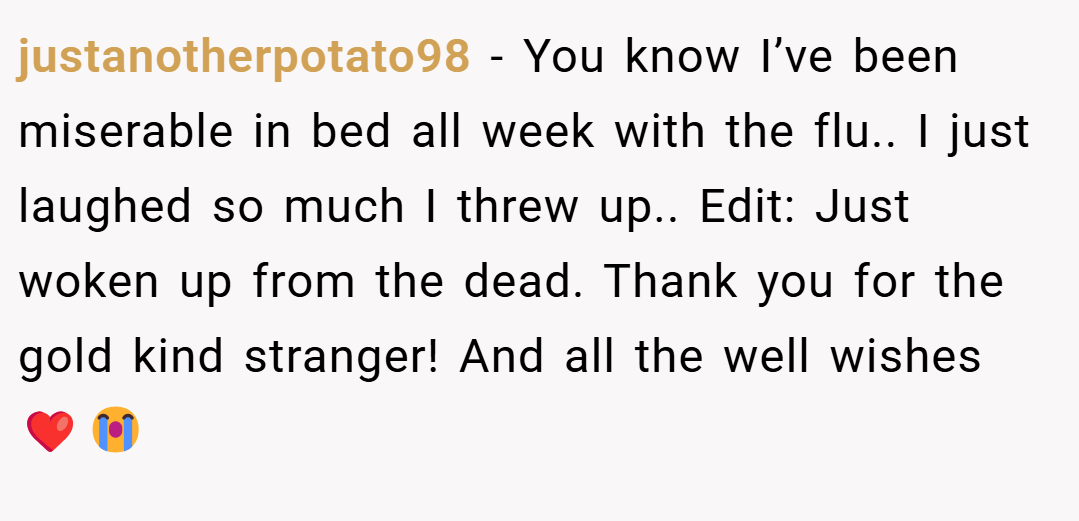 justanotherpotato98 − You know I’ve been miserable in bed all week with the flu.. I just laughed so much I threw up.. Edit: Just woken up from the dead. Thank you for the gold kind stranger! And all the well wishes ❤️😭