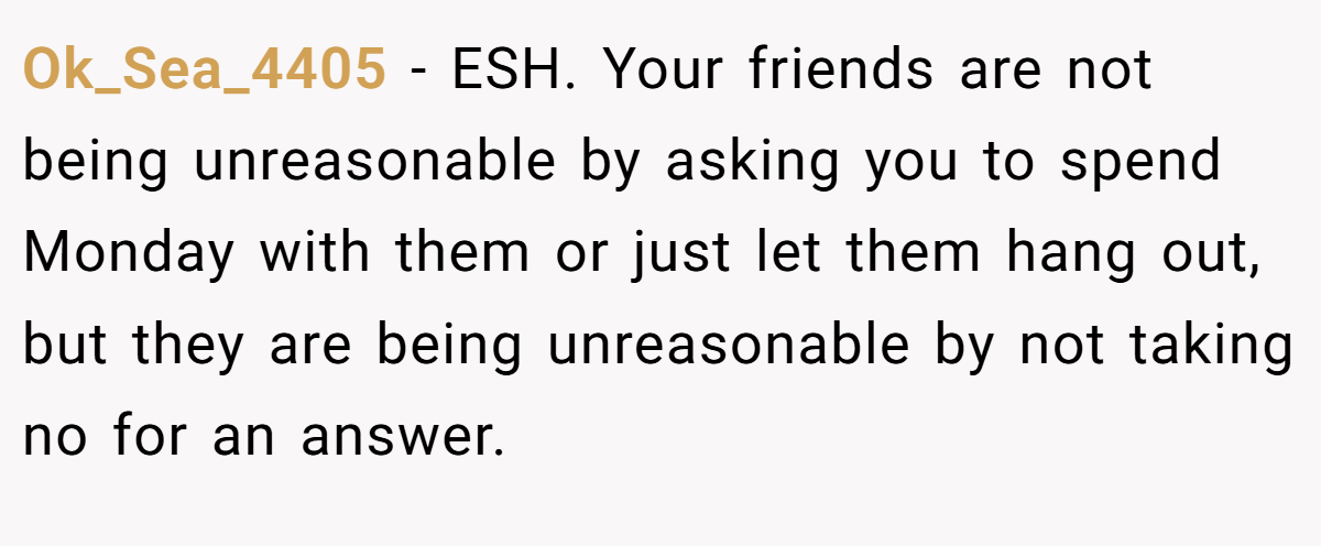 Ok_Sea_4405 − ESH. Your friends are not being unreasonable by asking you to spend Monday with them or just let them hang out, but they are being unreasonable by not taking no for an answer.