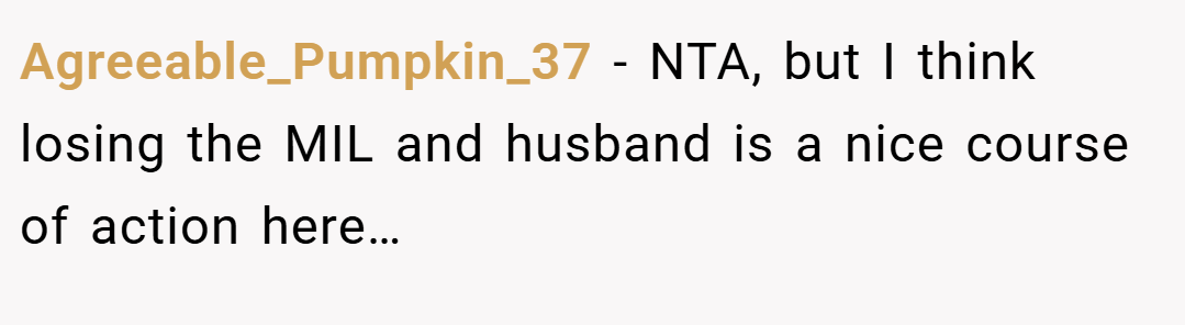 Agreeable_Pumpkin_37 − NTA, but I think losing the MIL and husband is a nice course of action here…