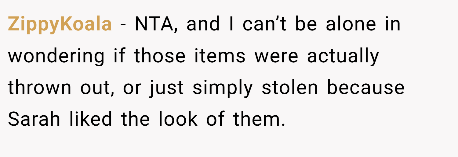 ZippyKoala − NTA, and I can’t be alone in wondering if those items were actually thrown out, or just simply stolen because Sarah liked the look of them.