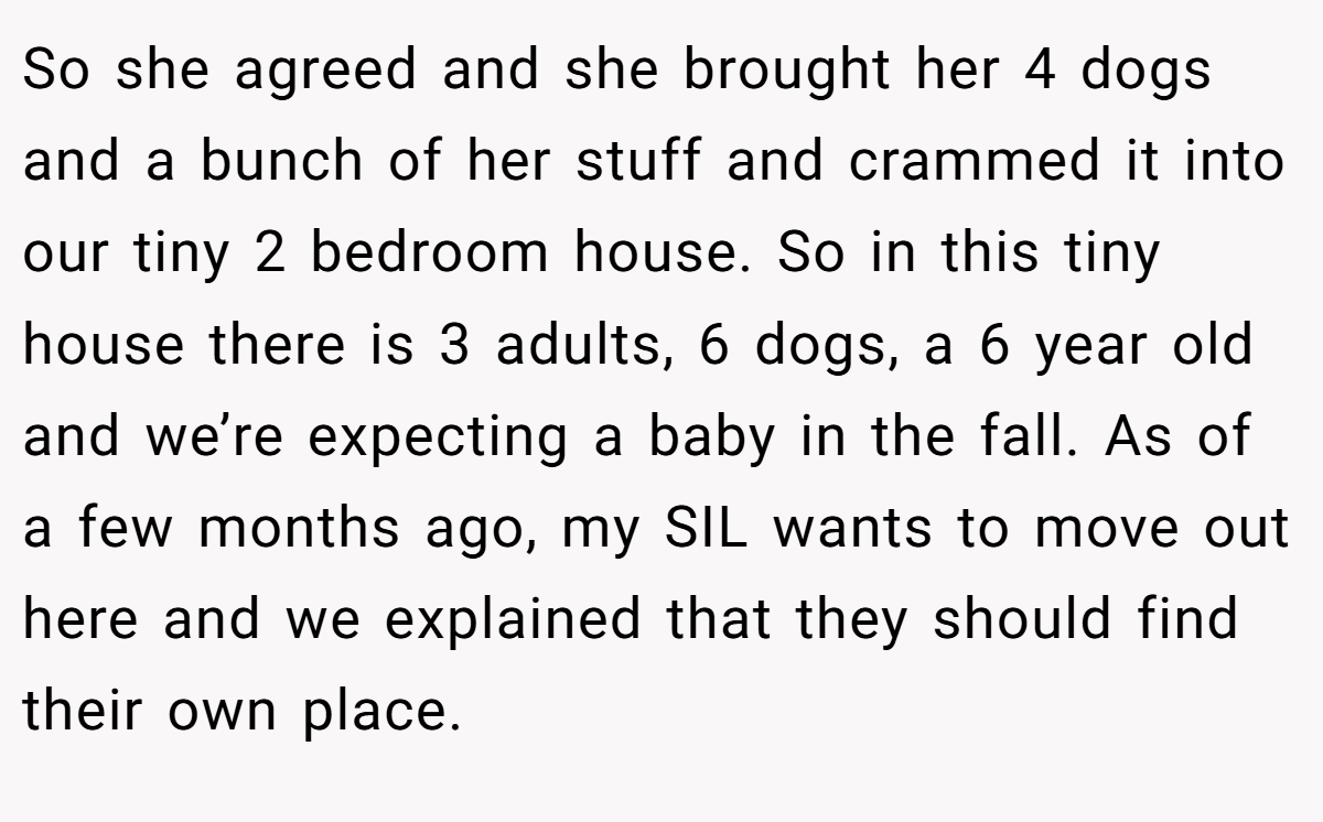 So she agreed and she brought her 4 dogs and a bunch of her stuff and crammed it into our tiny 2 bedroom house. So in this tiny house there is 3 adults, 6 dogs, a 6 year old and we’re expecting a baby in the fall. As of a few months ago, my SIL wants to move out here and we explained that they should find their own place.