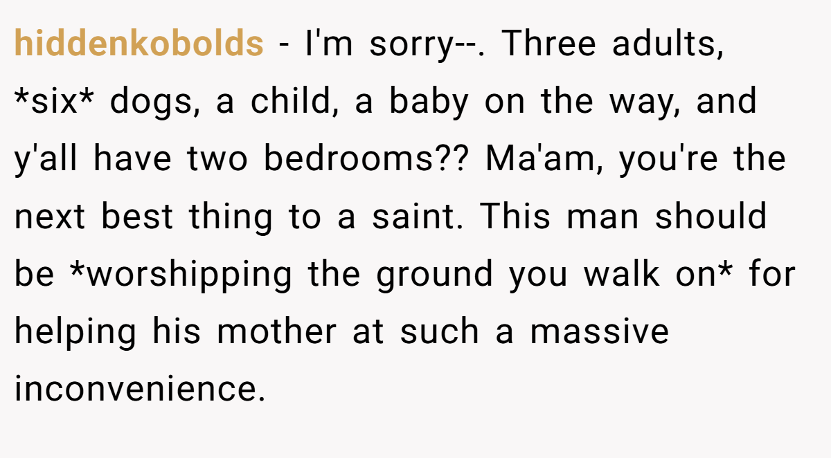 hiddenkobolds − I'm sorry--. Three adults, *six* dogs, a child, a baby on the way, and y'all have two bedrooms?? Ma'am, you're the next best thing to a saint. This man should be *worshipping the ground you walk on* for helping his mother at such a massive inconvenience.