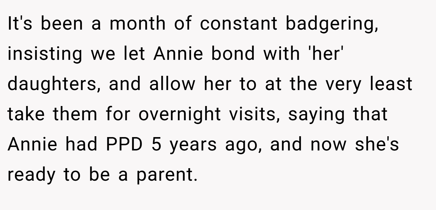 It's been a month of constant badgering, insisting we let Annie bond with 'her' daughters, and allow her to at the very least take them for overnight visits, saying that Annie had PPD 5 years ago, and now she's ready to be a parent.