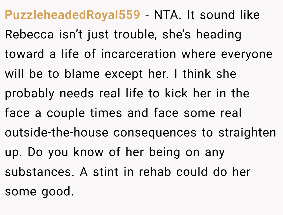 PuzzleheadedRoyal559 − NTA. It sound like Rebecca isn’t just trouble, she’s heading toward a life of incarceration where everyone will be to blame except her. I think she probably needs real life to kick her in the face a couple times and face some real outside-the-house consequences to straighten up. Do you know of her being on any substances. A stint in rehab could do her some good.