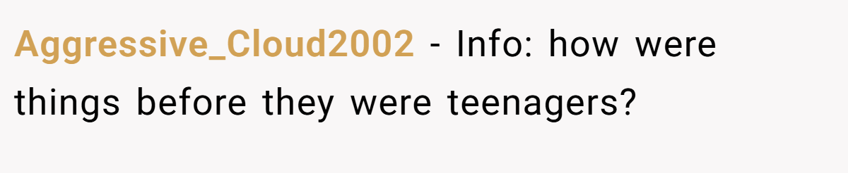 Aggressive_Cloud2002 − Info: how were things before they were teenagers?