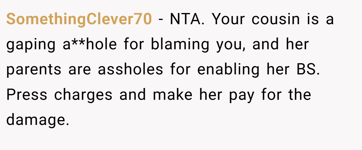 SomethingClever70 − NTA. Your cousin is a gaping a**hole for blaming you, and her parents are assholes for enabling her BS. Press charges and make her pay for the damage.