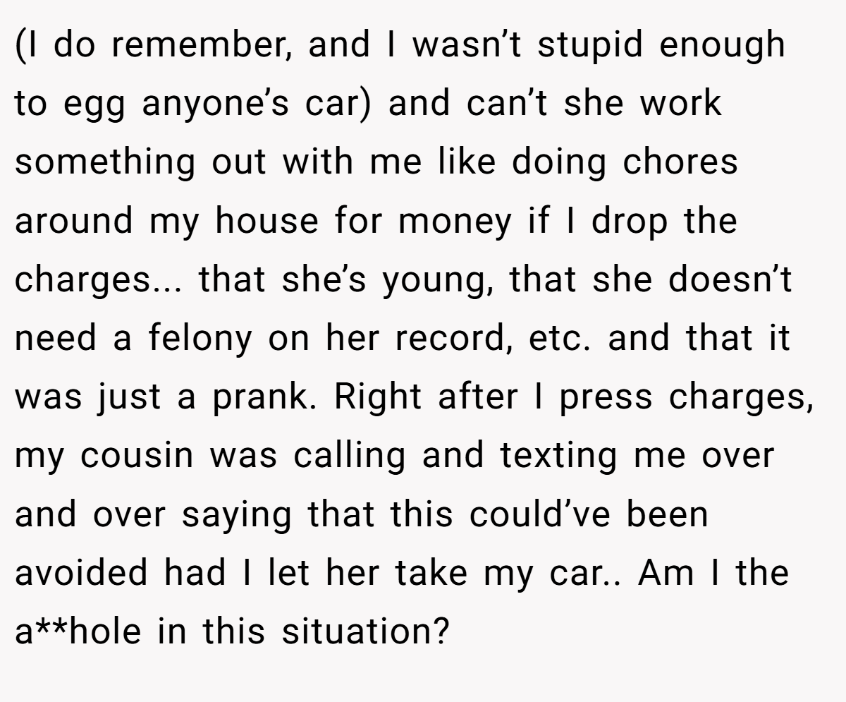 (I do remember, and I wasn’t stupid enough to egg anyone’s car) and can’t she work something out with me like doing chores around my house for money if I drop the charges... that she’s young, that she doesn’t need a felony on her record, etc. and that it was just a prank. Right after I press charges, my cousin was calling and texting me over and over saying that this could’ve been avoided had I let her take my car.. Am I the a**hole in this situation?