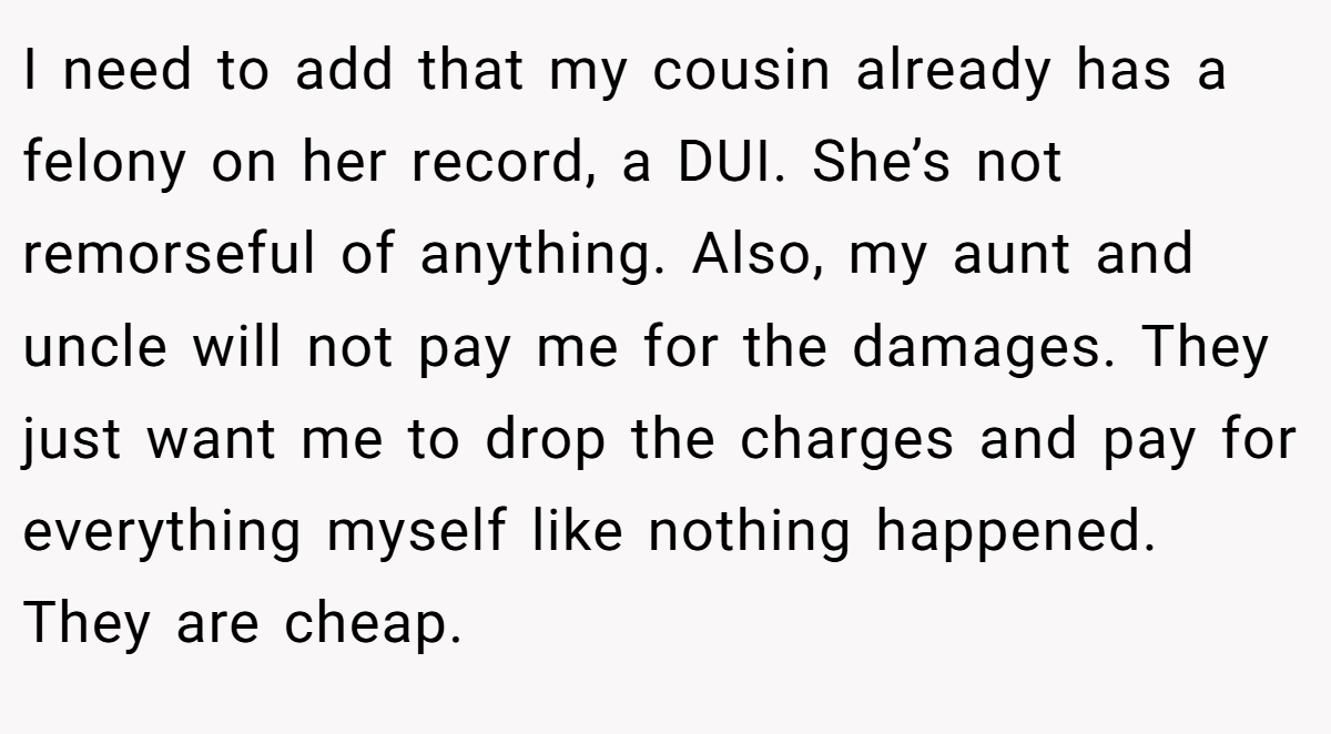 I need to add that my cousin already has a felony on her record, a DUI. She’s not remorseful of anything. Also, my aunt and uncle will not pay me for the damages. They just want me to drop the charges and pay for everything myself like nothing happened. They are cheap.