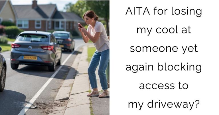 AITA for losing my cool at someone yet again blocking access to my driveway?