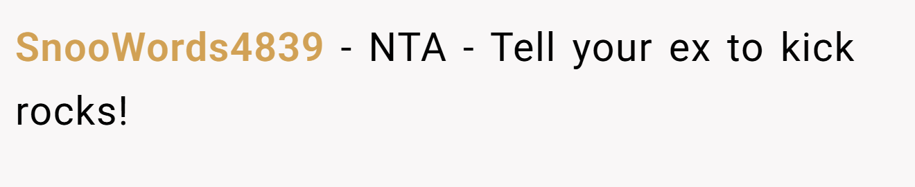 SnooWords4839 − NTA - Tell your ex to kick rocks!