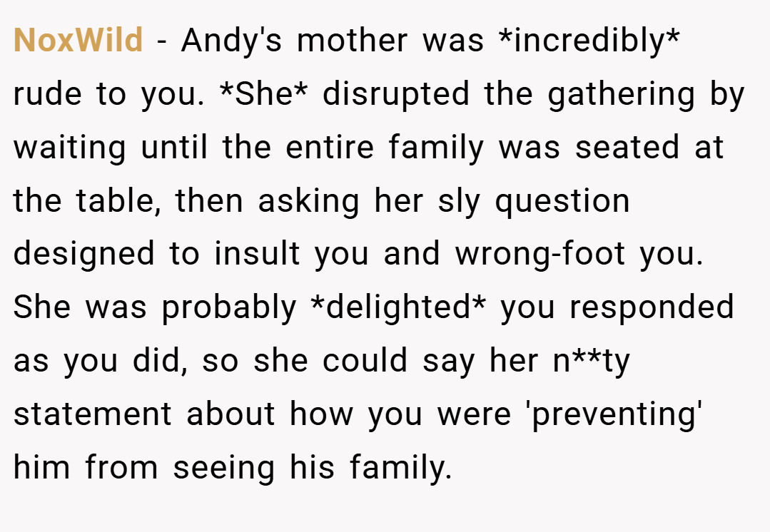 NoxWild − Andy's mother was *incredibly* rude to you. *She* disrupted the gathering by waiting until the entire family was seated at the table, then asking her sly question designed to insult you and wrong-foot you. She was probably *delighted* you responded as you did, so she could say her n**ty statement about how you were 'preventing' him from seeing his family.