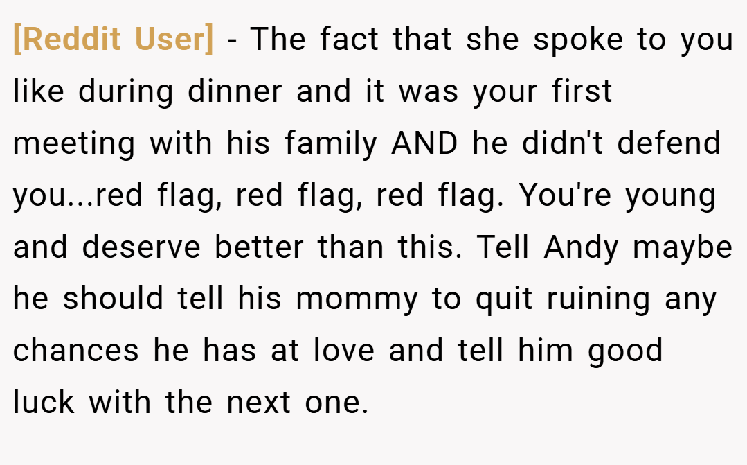 [Reddit User] − The fact that she spoke to you like during dinner and it was your first meeting with his family AND he didn't defend you...red flag, red flag, red flag. You're young and deserve better than this. Tell Andy maybe he should tell his mommy to quit ruining any chances he has at love and tell him good luck with the next one.