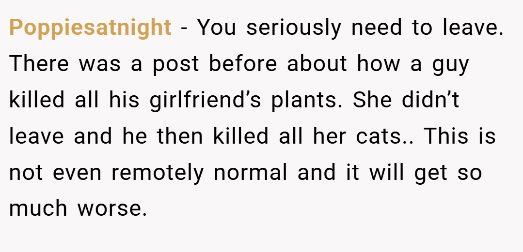 Poppiesatnight − You seriously need to leave. There was a post before about how a guy killed all his girlfriend’s plants. She didn’t leave and he then killed all her cats.. This is not even remotely normal and it will get so much worse.