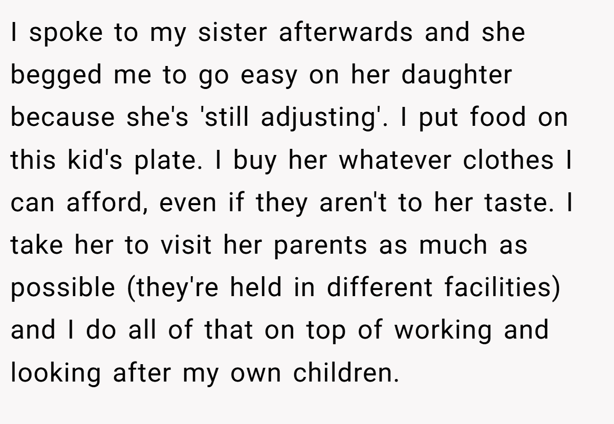 I spoke to my sister afterwards and she begged me to go easy on her daughter because she's 'still adjusting'. I put food on this kid's plate. I buy her whatever clothes I can afford, even if they aren't to her taste. I take her to visit her parents as much as possible (they're held in different facilities) and I do all of that on top of working and looking after my own children.