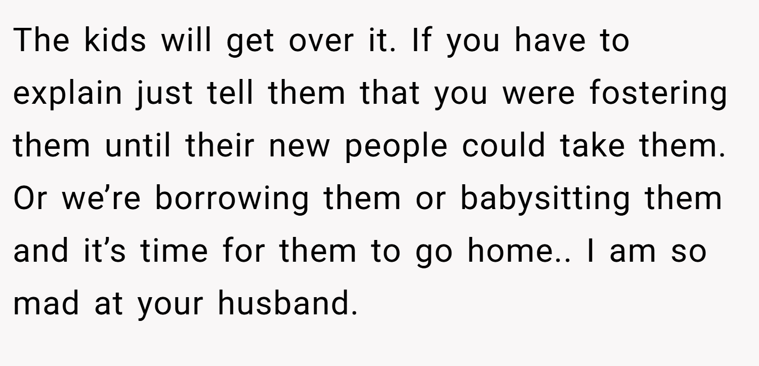 The kids will get over it. If you have to explain just tell them that you were fostering them until their new people could take them. Or we’re borrowing them or babysitting them and it’s time for them to go home.. I am so mad at your husband.