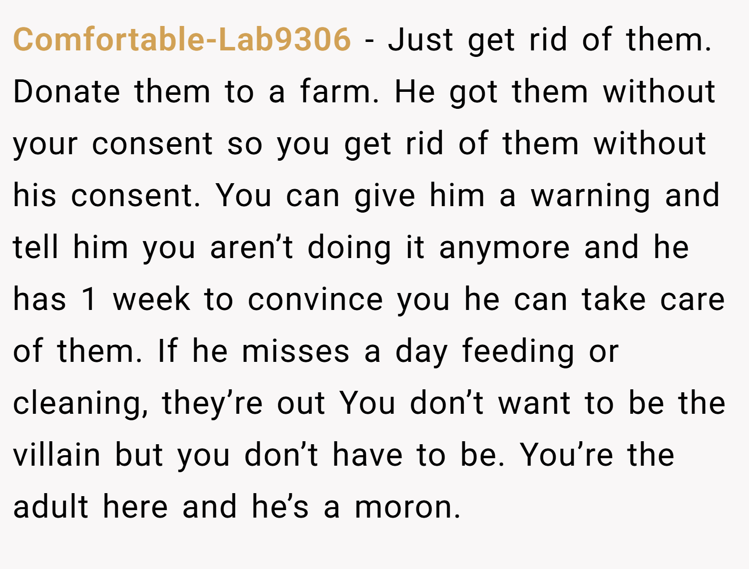 Comfortable-Lab9306 − Just get rid of them. Donate them to a farm. He got them without your consent so you get rid of them without his consent. You can give him a warning and tell him you aren’t doing it anymore and he has 1 week to convince you he can take care of them. If he misses a day feeding or cleaning, they’re out You don’t want to be the villain but you don’t have to be. You’re the adult here and he’s a moron.