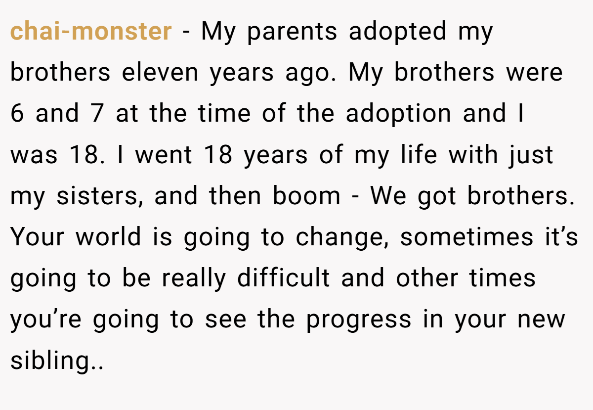 chai-monster − My parents adopted my brothers eleven years ago. My brothers were 6 and 7 at the time of the adoption and I was 18. I went 18 years of my life with just my sisters, and then boom - We got brothers. Your world is going to change, sometimes it’s going to be really difficult and other times you’re going to see the progress in your new sibling..