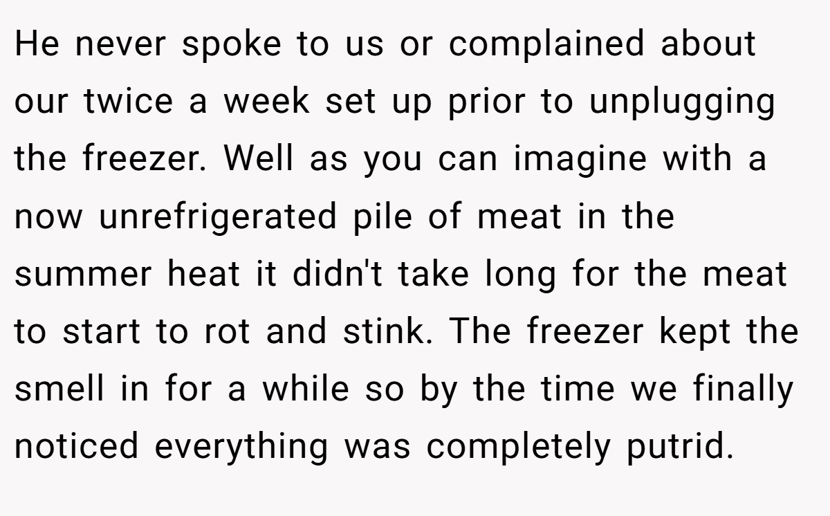 He never spoke to us or complained about our twice a week set up prior to unplugging the freezer. Well as you can imagine with a now unrefrigerated pile of meat in the summer heat it didn't take long for the meat to start to rot and stink. The freezer kept the smell in for a while so by the time we finally noticed everything was completely putrid.