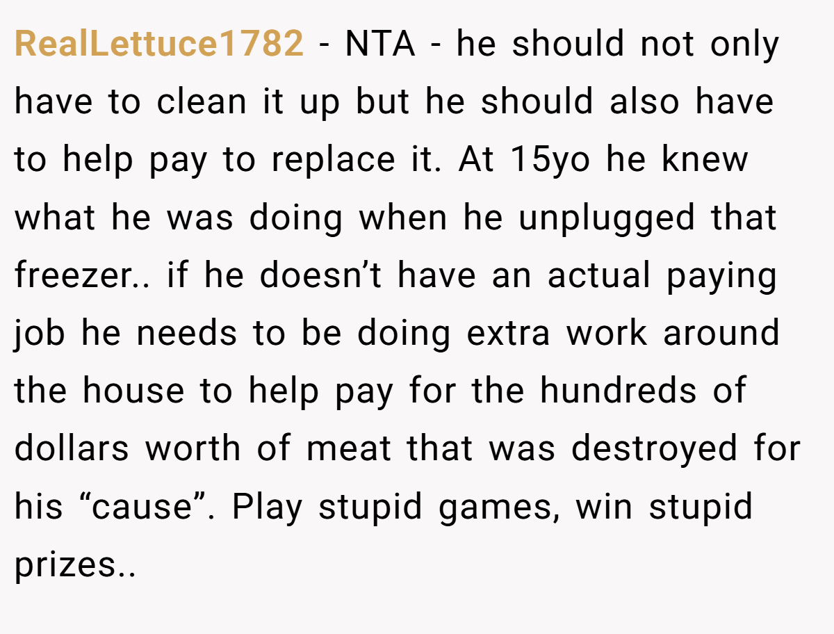 RealLettuce1782 − NTA - he should not only have to clean it up but he should also have to help pay to replace it. At 15yo he knew what he was doing when he unplugged that freezer.. if he doesn’t have an actual paying job he needs to be doing extra work around the house to help pay for the hundreds of dollars worth of meat that was destroyed for his “cause”. Play stupid games, win stupid prizes..