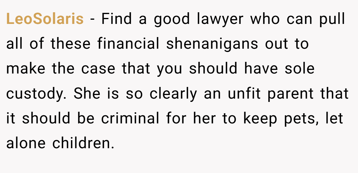 LeoSolaris − Find a good lawyer who can pull all of these financial shenanigans out to make the case that you should have sole custody. She is so clearly an unfit parent that it should be criminal for her to keep pets, let alone children.