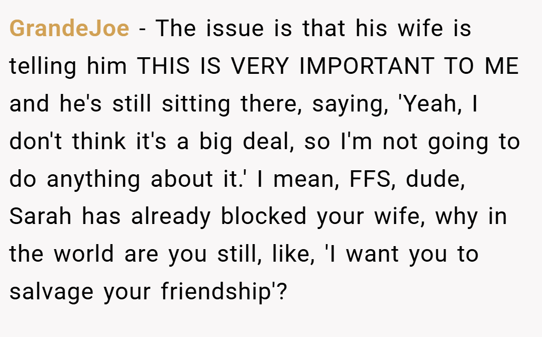 GrandeJoe − The issue is that his wife is telling him THIS IS VERY IMPORTANT TO ME and he's still sitting there, saying, 'Yeah, I don't think it's a big deal, so I'm not going to do anything about it.' I mean, FFS, dude, Sarah has already blocked your wife, why in the world are you still, like, 'I want you to salvage your friendship'?