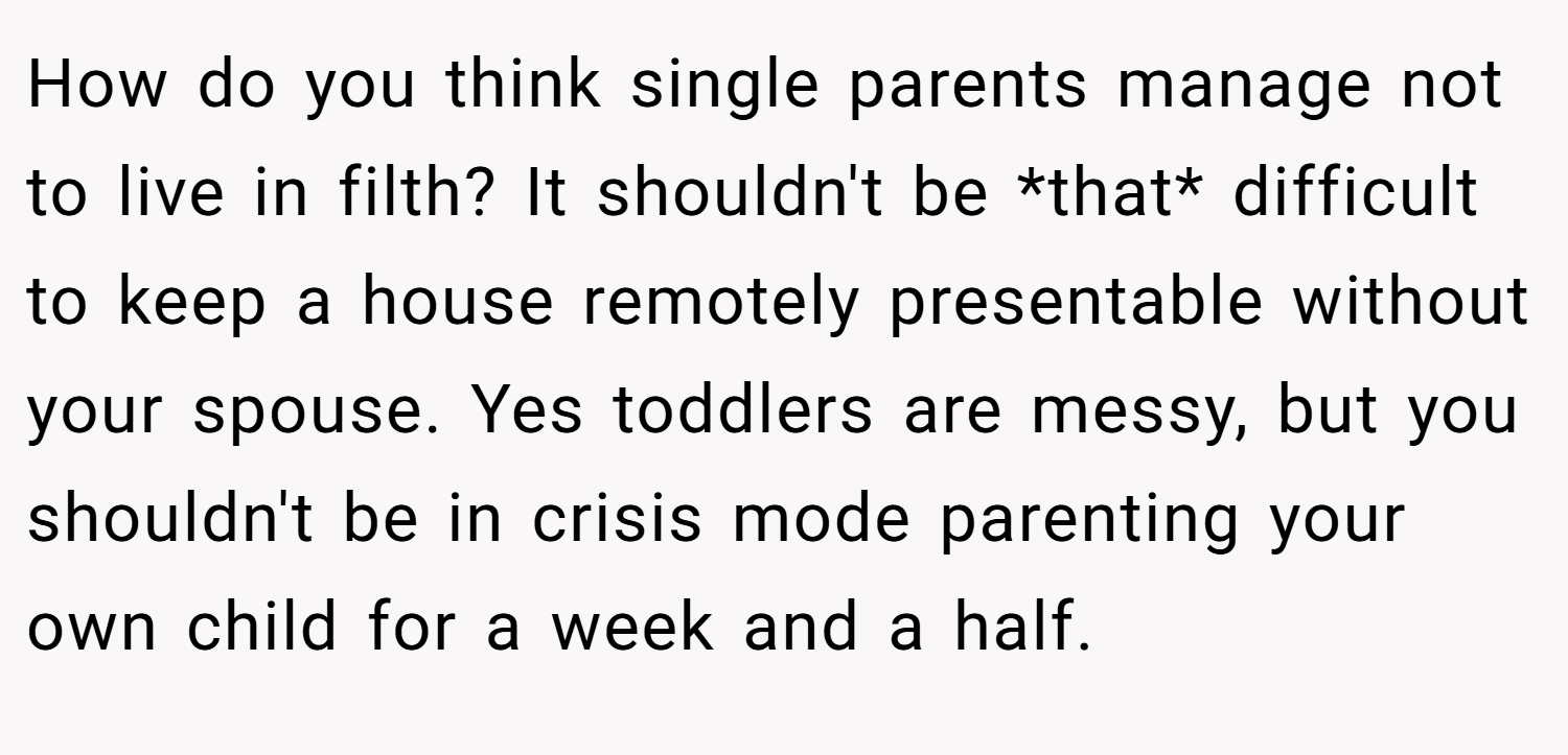 How do you think single parents manage not to live in filth? It shouldn't be *that* difficult to keep a house remotely presentable without your spouse. Yes toddlers are messy, but you shouldn't be in crisis mode parenting your own child for a week and a half.