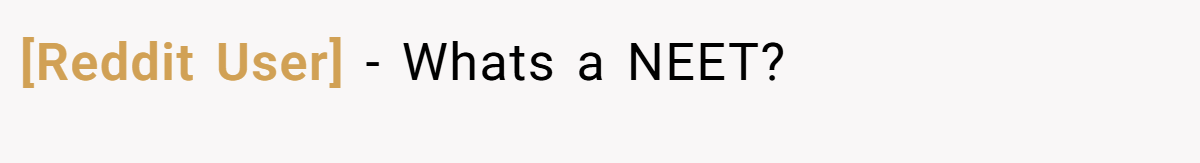 [Reddit User] − Whats a NEET?