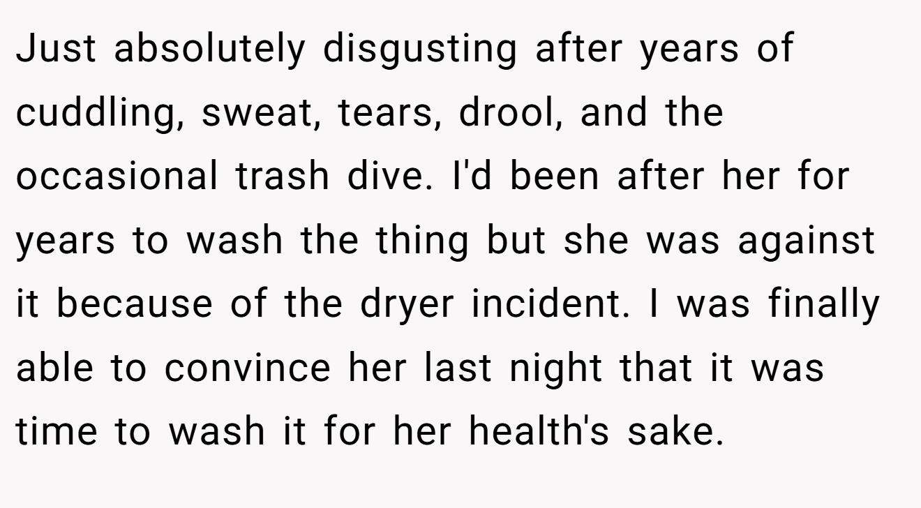 Just absolutely disgusting after years of cuddling, sweat, tears, drool, and the occasional trash dive. I'd been after her for years to wash the thing but she was against it because of the dryer incident. I was finally able to convince her last night that it was time to wash it for her health's sake.