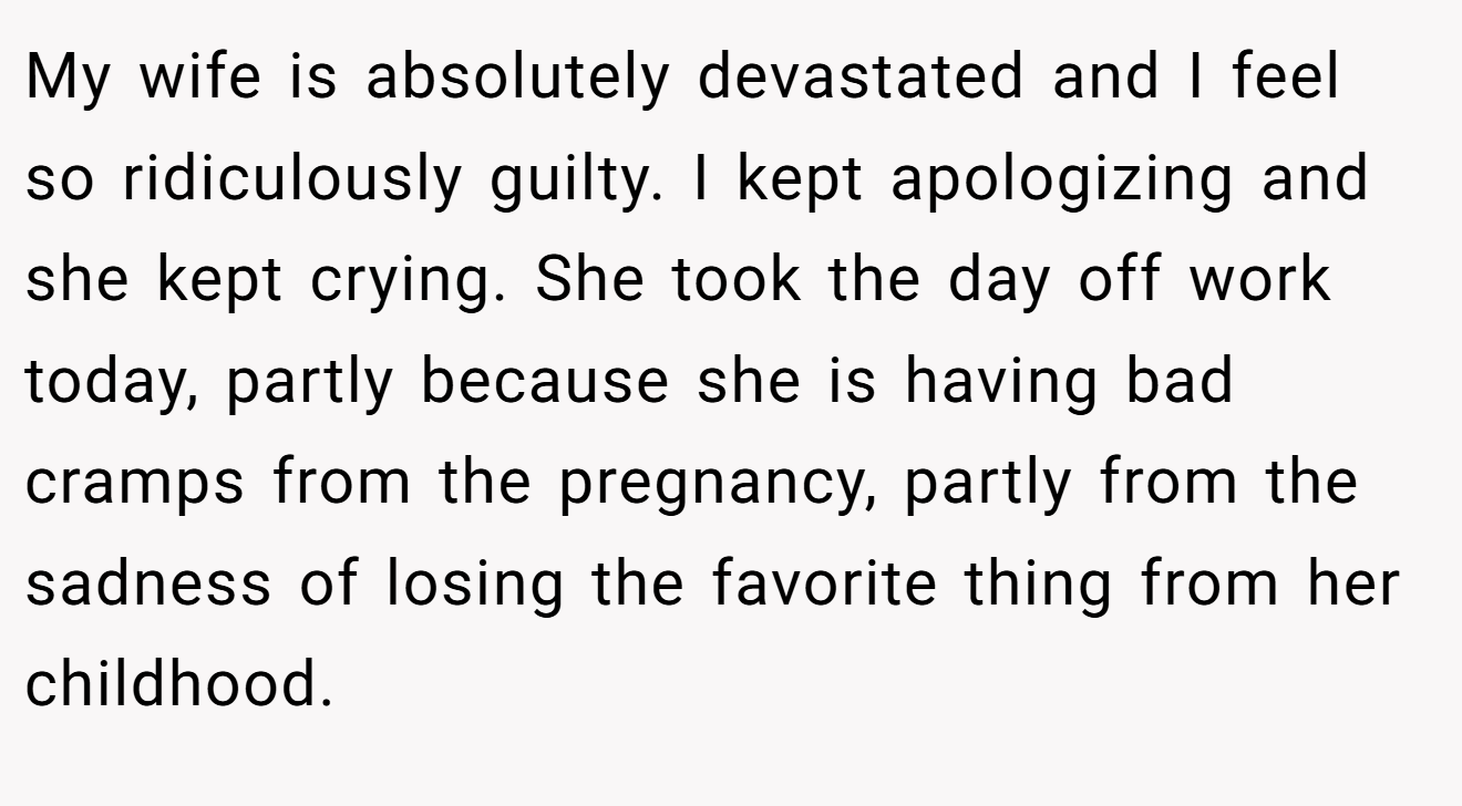 My wife is absolutely devastated and I feel so ridiculously guilty. I kept apologizing and she kept crying. She took the day off work today, partly because she is having bad cramps from the pregnancy, partly from the sadness of losing the favorite thing from her childhood.