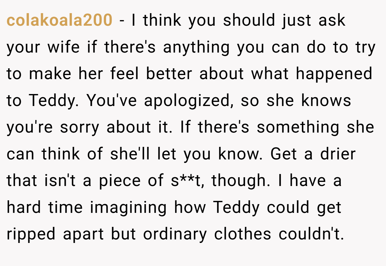colakoala200 − I think you should just ask your wife if there's anything you can do to try to make her feel better about what happened to Teddy. You've apologized, so she knows you're sorry about it. If there's something she can think of she'll let you know. Get a drier that isn't a piece of s**t, though. I have a hard time imagining how Teddy could get ripped apart but ordinary clothes couldn't.