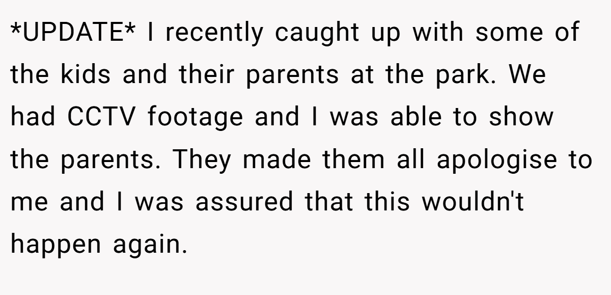 *UPDATE* I recently caught up with some of the kids and their parents at the park. We had CCTV footage and I was able to show the parents. They made them all apologise to me and I was assured that this wouldn't happen again.