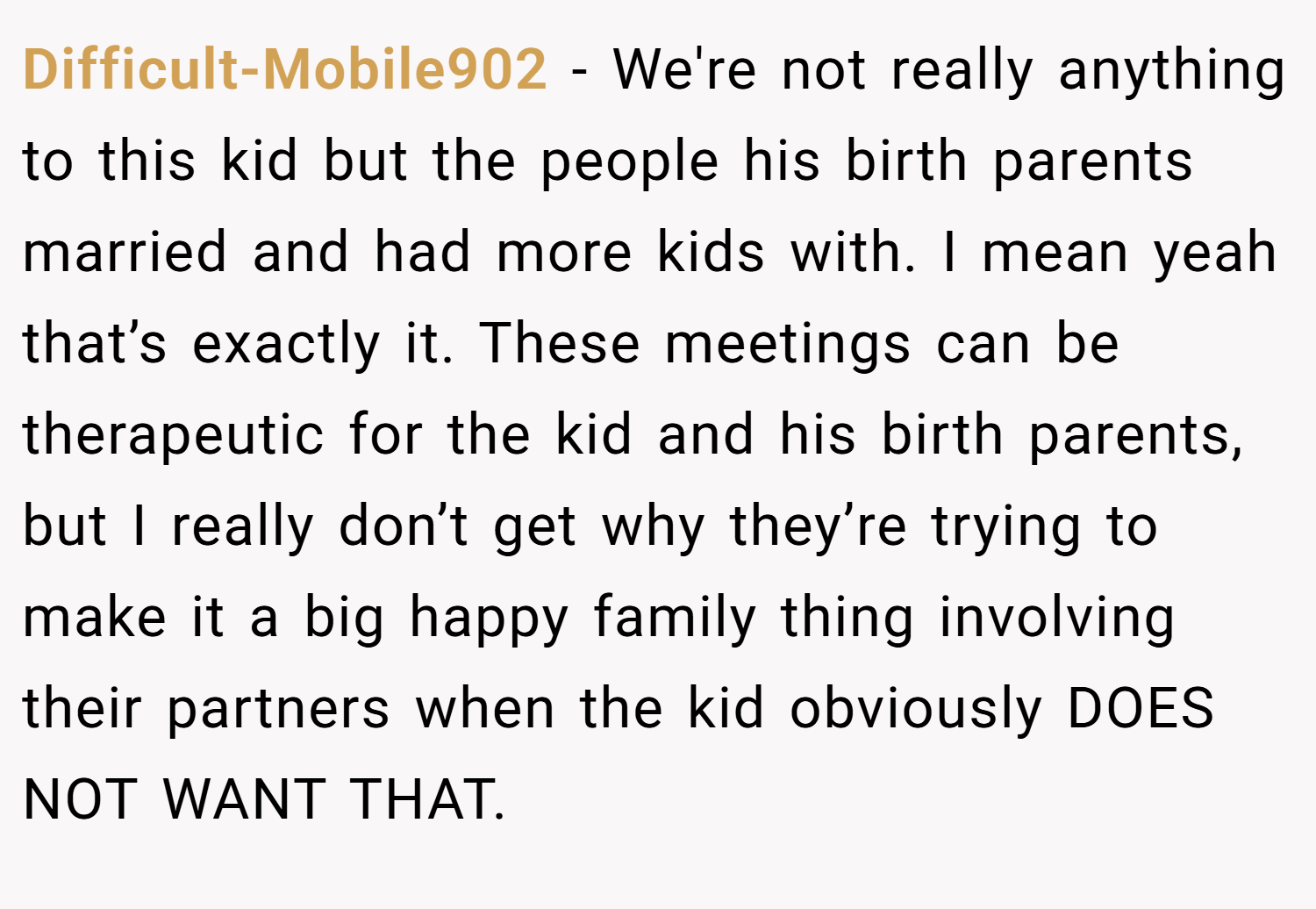 Difficult-Mobile902 −  We're not really anything to this kid but the people his birth parents married and had more kids with. I mean yeah that’s exactly it. These meetings can be therapeutic for the kid and his birth parents, but I really don’t get why they’re trying to make it a big happy family thing involving their partners when the kid obviously DOES NOT WANT THAT.
