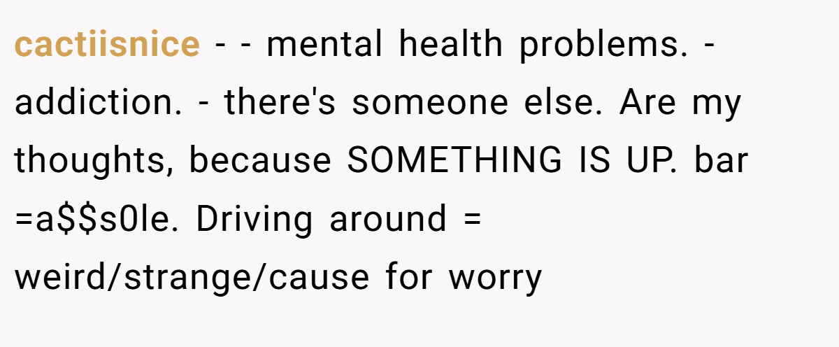 cactiisnice − - mental health problems. - addiction. - there's someone else. Are my thoughts, because SOMETHING IS UP. bar =a$$s0le. Driving around = weird/strange/cause for worry
