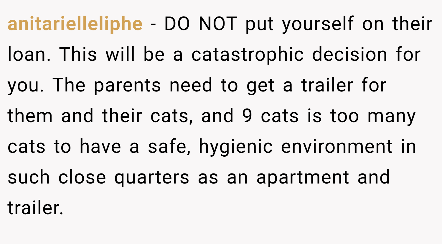 anitarielleliphe − DO NOT put yourself on their loan. This will be a catastrophic decision for you. The parents need to get a trailer for them and their cats, and 9 cats is too many cats to have a safe, hygienic environment in such close quarters as an apartment and trailer.