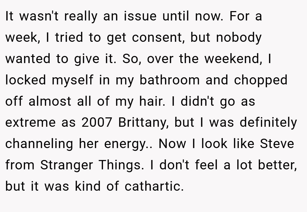 It wasn't really an issue until now. For a week, I tried to get consent, but nobody wanted to give it. So, over the weekend, I locked myself in my bathroom and chopped off almost all of my hair. I didn't go as extreme as 2007 Brittany, but I was definitely channeling her energy.. Now I look like Steve from Stranger Things. I don't feel a lot better, but it was kind of cathartic.