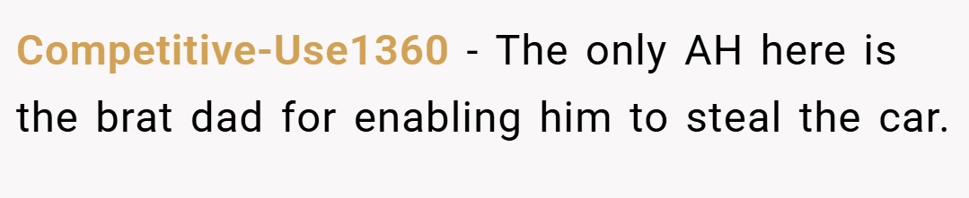 Competitive-Use1360 − The only AH here is the brat dad for enabling him to steal the car.