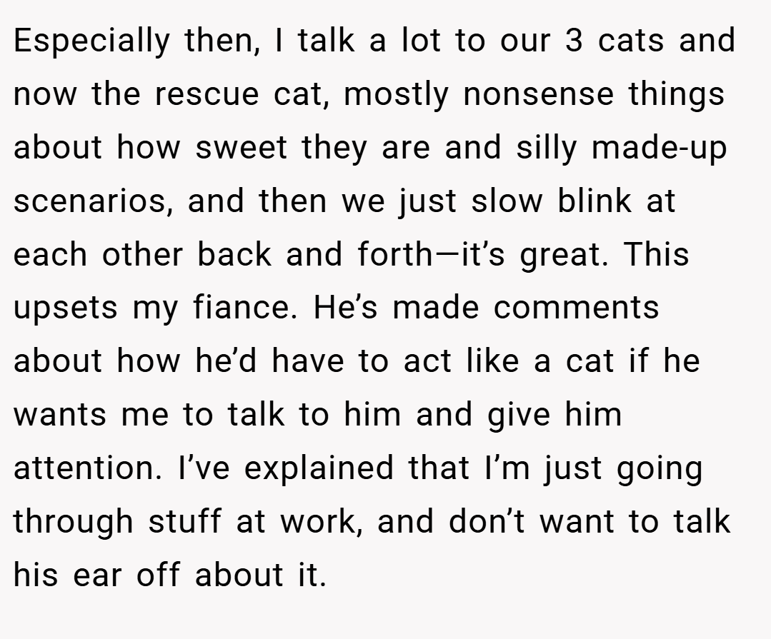 Especially then, I talk a lot to our 3 cats and now the rescue cat, mostly nonsense things about how sweet they are and silly made-up scenarios, and then we just slow blink at each other back and forth—it’s great. This upsets my fiance. He’s made comments about how he’d have to act like a cat if he wants me to talk to him and give him attention. I’ve explained that I’m just going through stuff at work, and don’t want to talk his ear off about it.