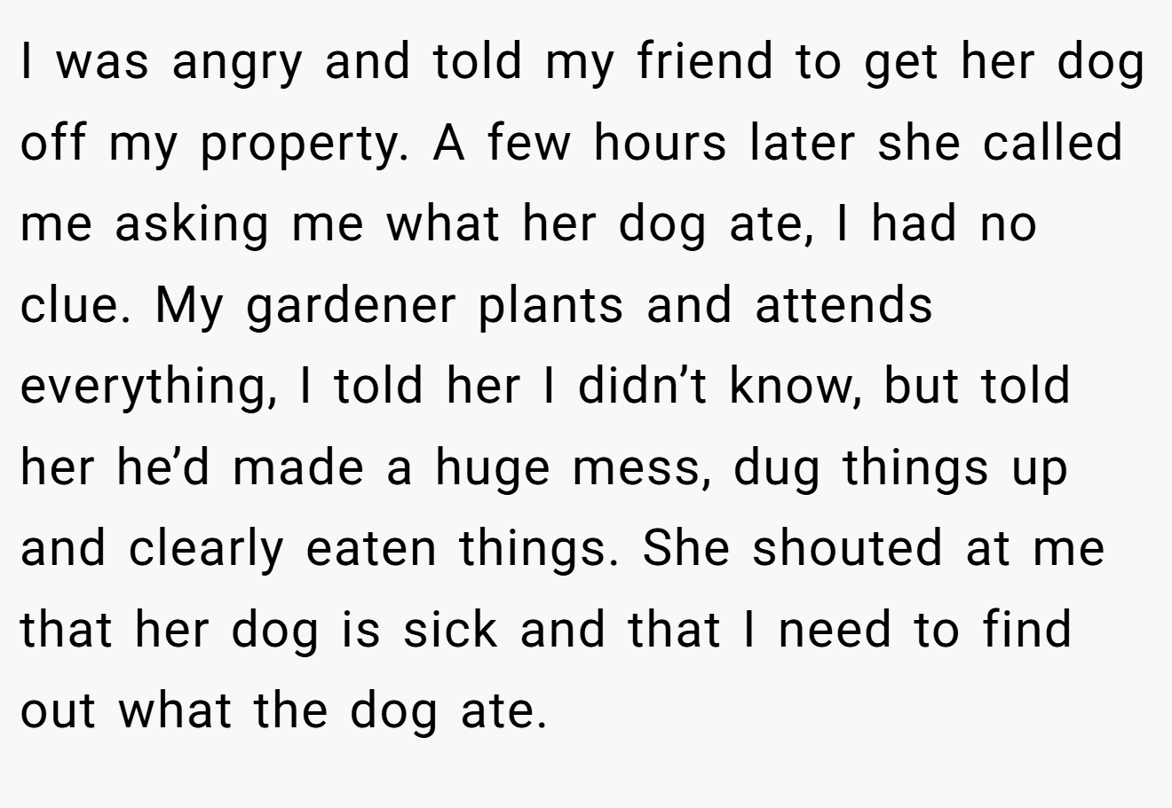 I was angry and told my friend to get her dog off my property. A few hours later she called me asking me what her dog ate, I had no clue. My gardener plants and attends everything, I told her I didn’t know, but told her he’d made a huge mess, dug things up and clearly eaten things. She shouted at me that her dog is sick and that I need to find out what the dog ate.