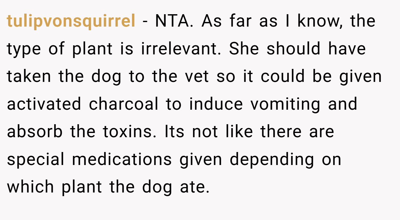 tulipvonsquirrel − NTA. As far as I know, the type of plant is irrelevant. She should have taken the dog to the vet so it could be given activated charcoal to induce vomiting and absorb the toxins. Its not like there are special medications given depending on which plant the dog ate.