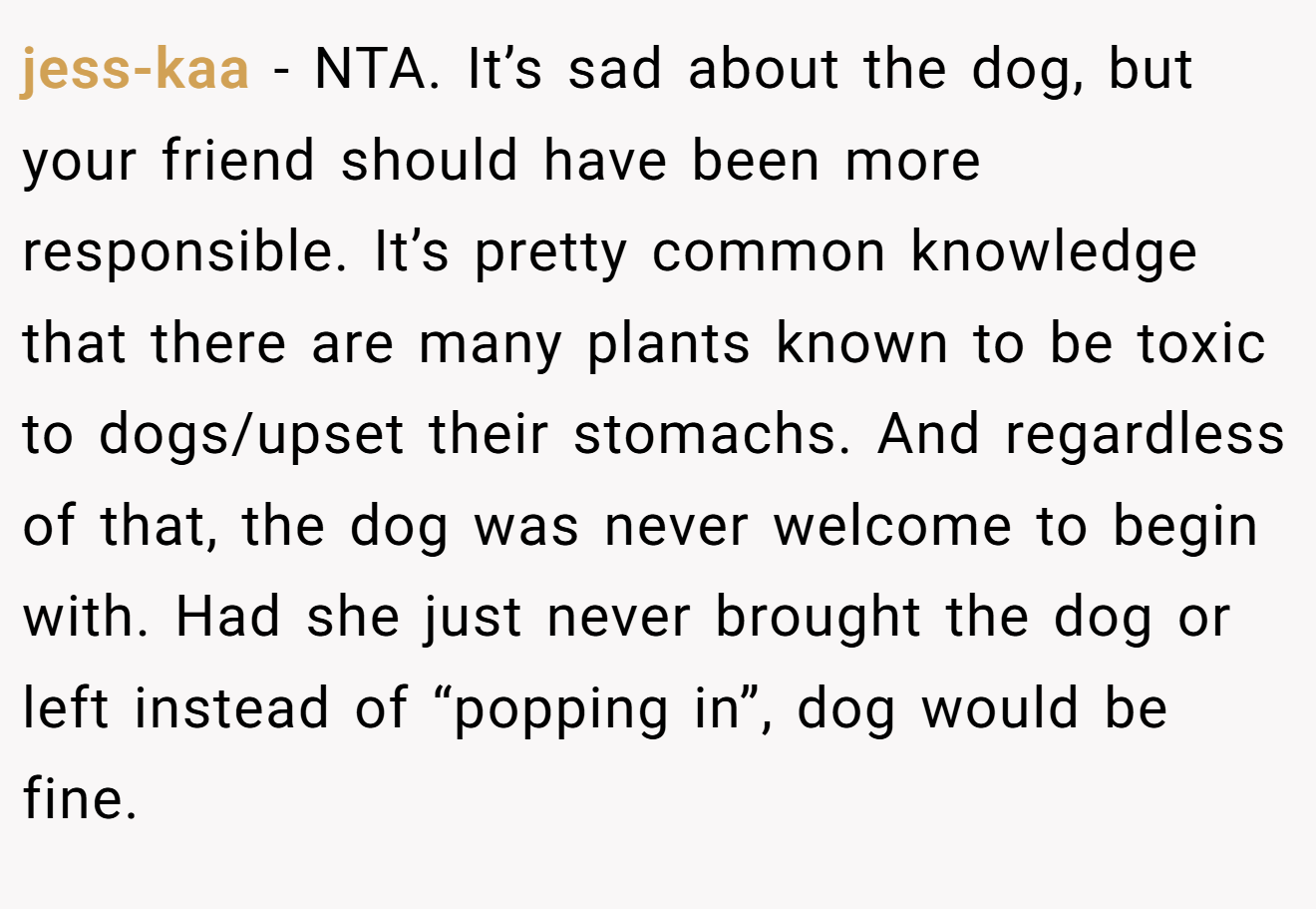 jess-kaa − NTA. It’s sad about the dog, but your friend should have been more responsible. It’s pretty common knowledge that there are many plants known to be toxic to dogs/upset their stomachs. And regardless of that, the dog was never welcome to begin with. Had she just never brought the dog or left instead of “popping in”, dog would be fine.