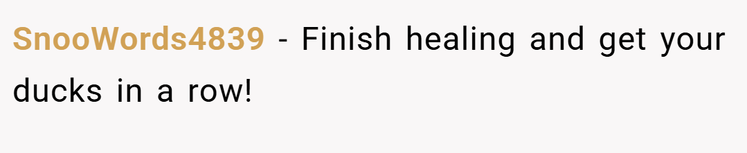 SnooWords4839 − Finish healing and get your ducks in a row!