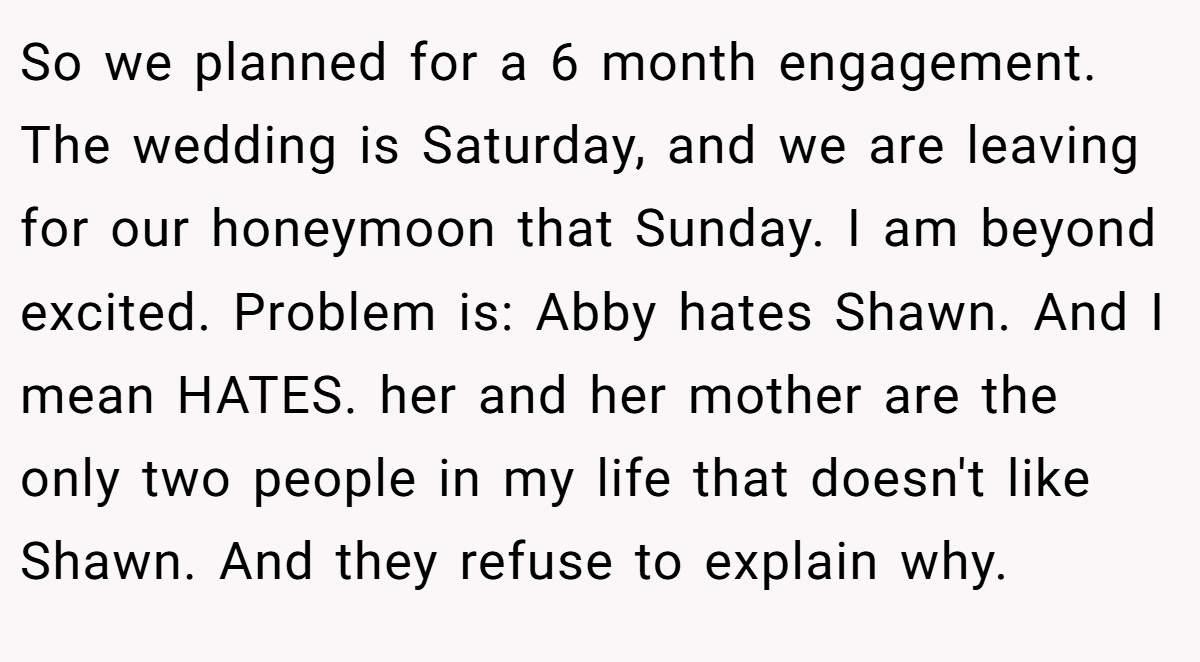 So we planned for a 6 month engagement. The wedding is Saturday, and we are leaving for our honeymoon that Sunday. I am beyond excited. Problem is: Abby hates Shawn. And I mean HATES. her and her mother are the only two people in my life that doesn't like Shawn. And they refuse to explain why.