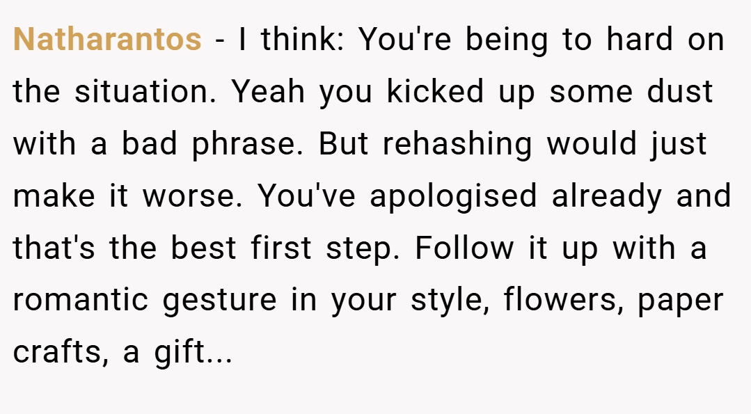 Natharantos − I think: You're being to hard on the situation. Yeah you kicked up some dust with a bad phrase. But rehashing would just make it worse. You've apologised already and that's the best first step. Follow it up with a romantic gesture in your style, flowers, paper crafts, a gift...