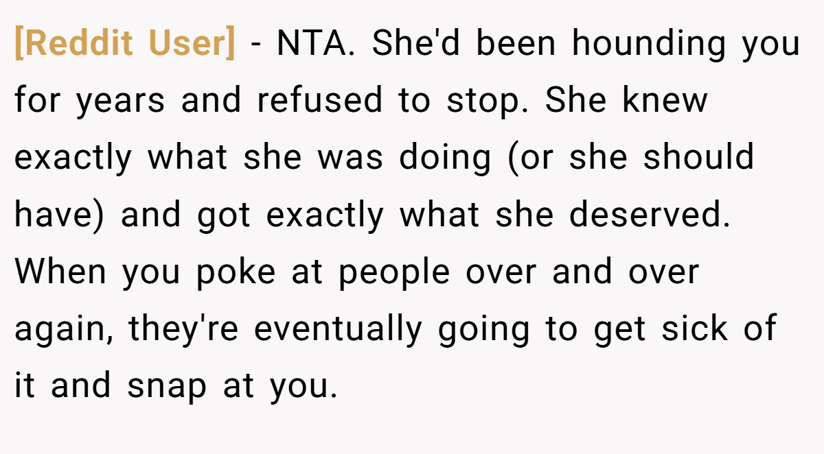[Reddit User] − NTA. She'd been hounding you for years and refused to stop. She knew exactly what she was doing (or she should have) and got exactly what she deserved. When you poke at people over and over again, they're eventually going to get sick of it and snap at you.