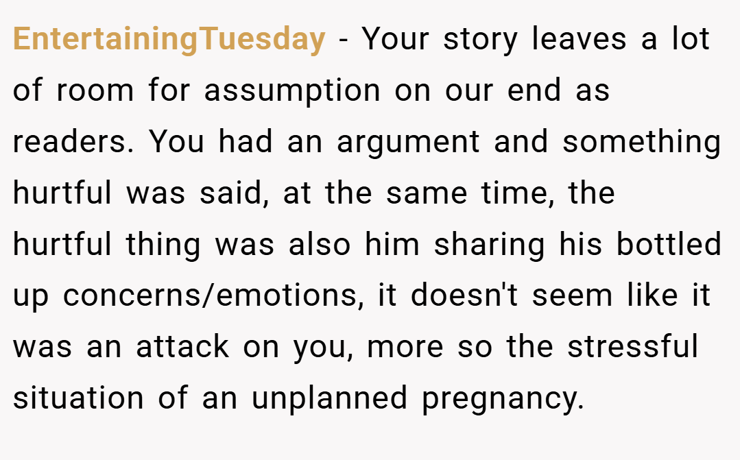 EntertainingTuesday − Your story leaves a lot of room for assumption on our end as readers. You had an argument and something hurtful was said, at the same time, the hurtful thing was also him sharing his bottled up concerns/emotions, it doesn't seem like it was an attack on you, more so the stressful situation of an unplanned pregnancy.